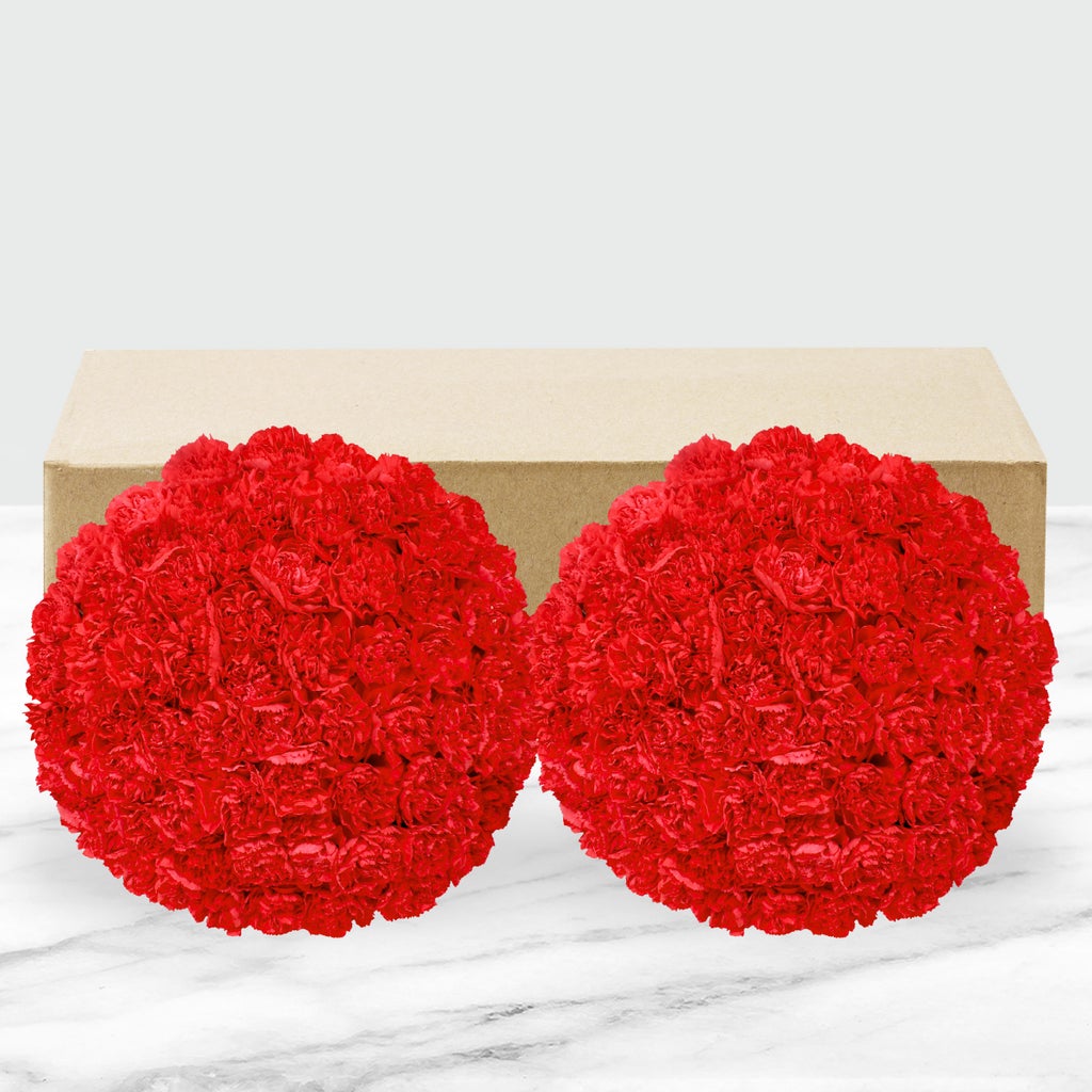 100-stem Carnations
