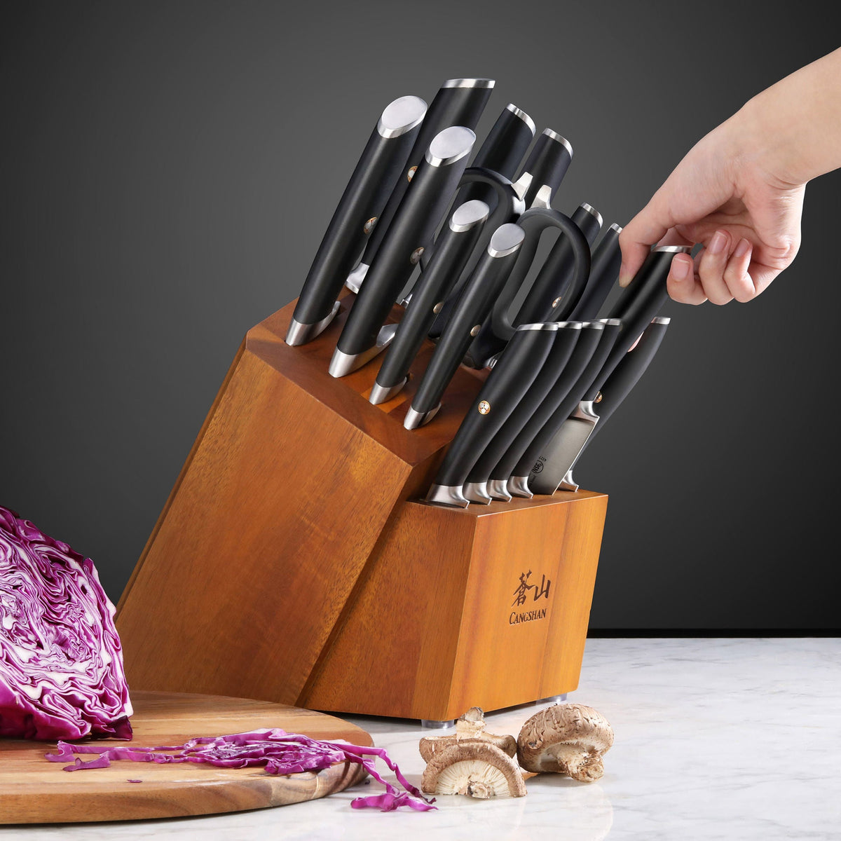Cangshan L Series 17-piece German Steel Forged Knife Set