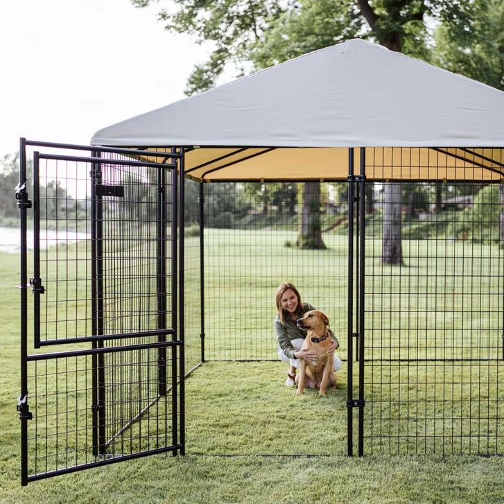 Lucky Dog STAY Series Presidential Dog Kennel 10'x10' with Privacy Screen - image 2