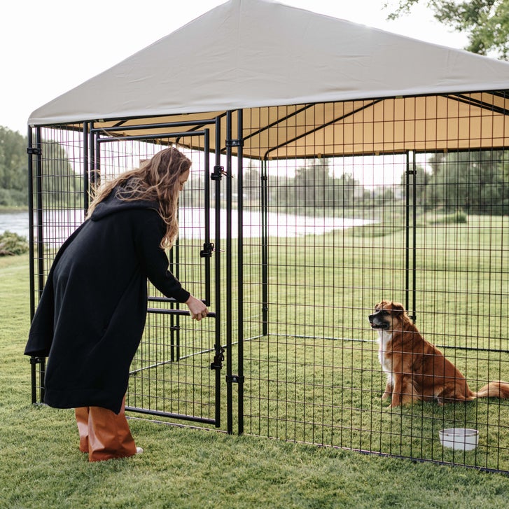 Lucky Dog STAY Series Presidential Dog Kennel 10'x10' with Privacy Screen - image 3