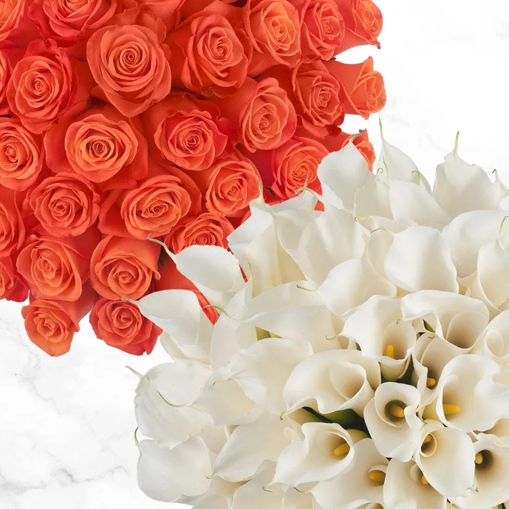 30-stem Calla Lilies and 75-stem Roses