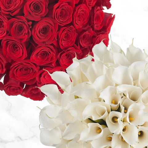 30-stem Calla Lilies and 75-stem Roses