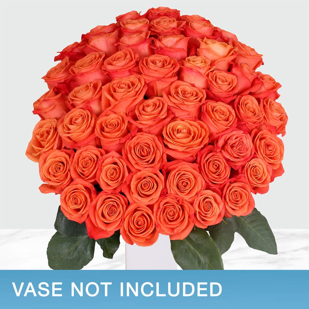 50-stem Orange Roses