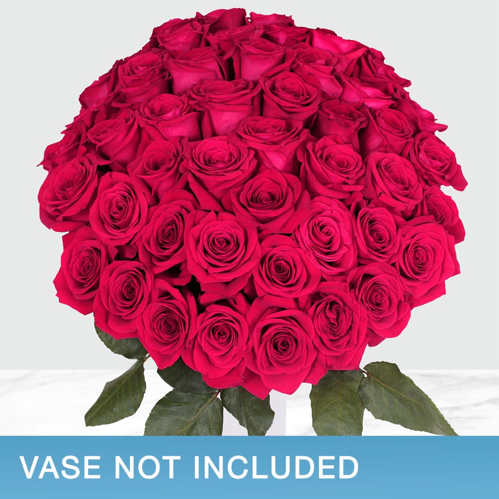 50-stem Hot Pink Roses
