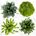 100-stem Assorted Green Fillers