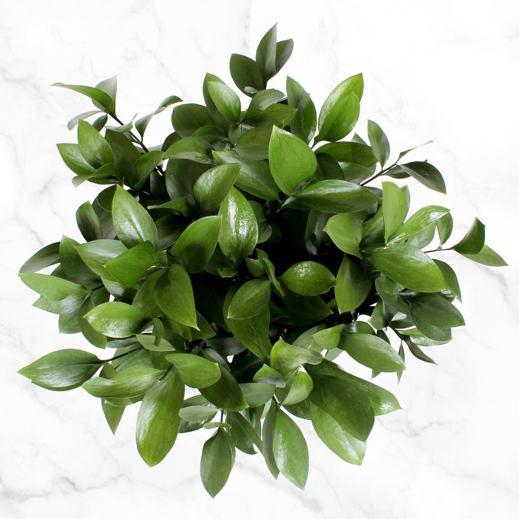 100-stem Fillers and Greens