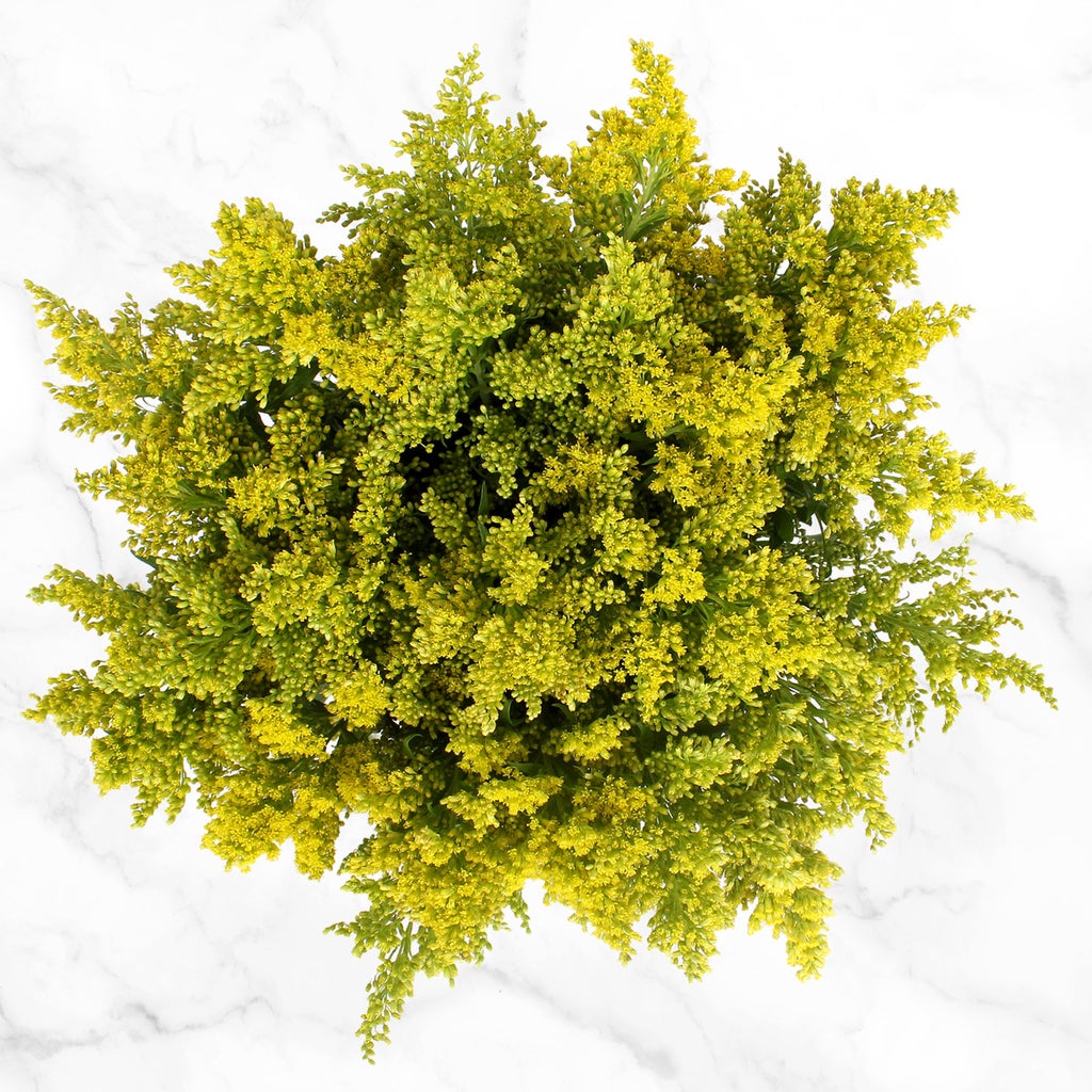 100-stem Fillers and Greens