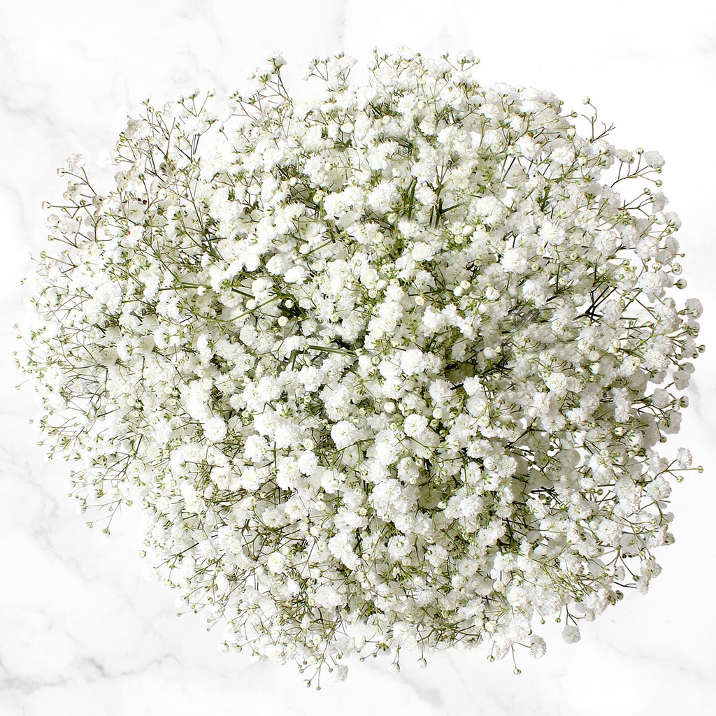 100-stem Fillers and Greens