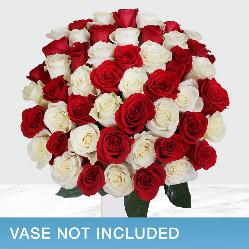 50-stem Red & White Roses