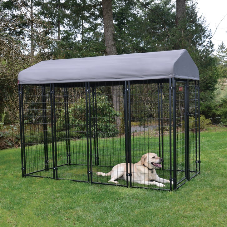 Lucky Dog STAY Series Villa Dog Kennel 4'x8' with Privacy Screen - image 4