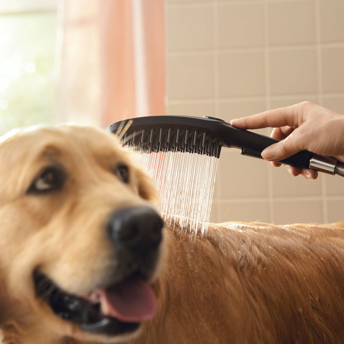 Hansgrohe Dog Showerhead