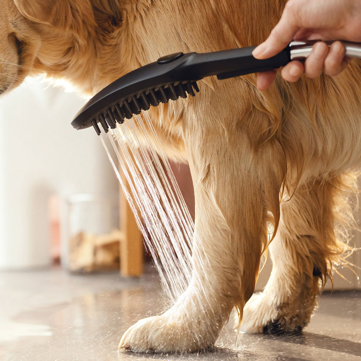 Hansgrohe Dog Showerhead