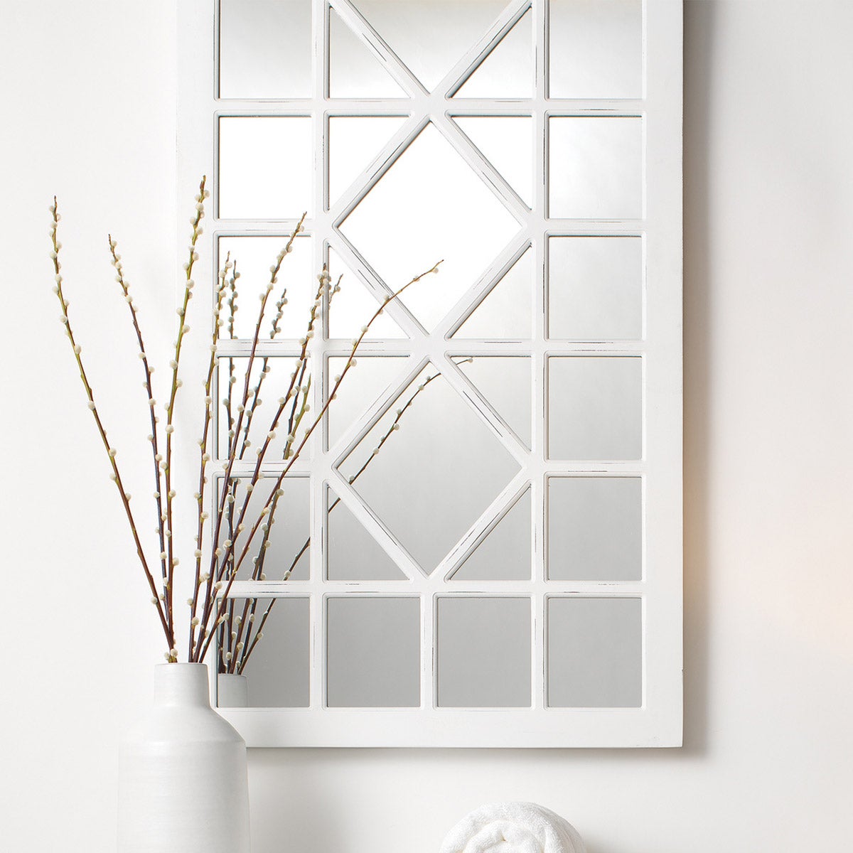 Virginia Mirror