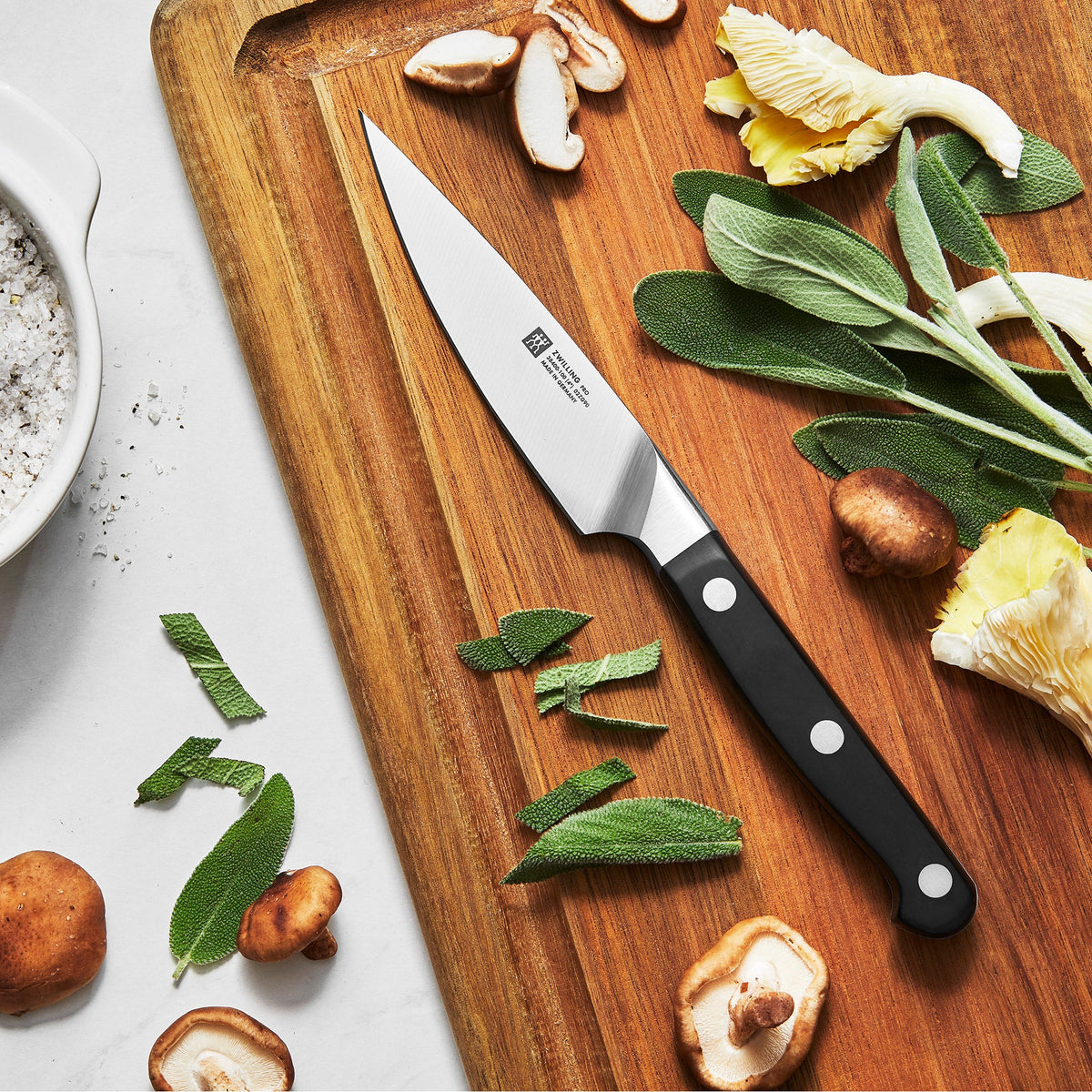 Zwilling Pro 9-piece Knife Set with Steel Magnetic Bar