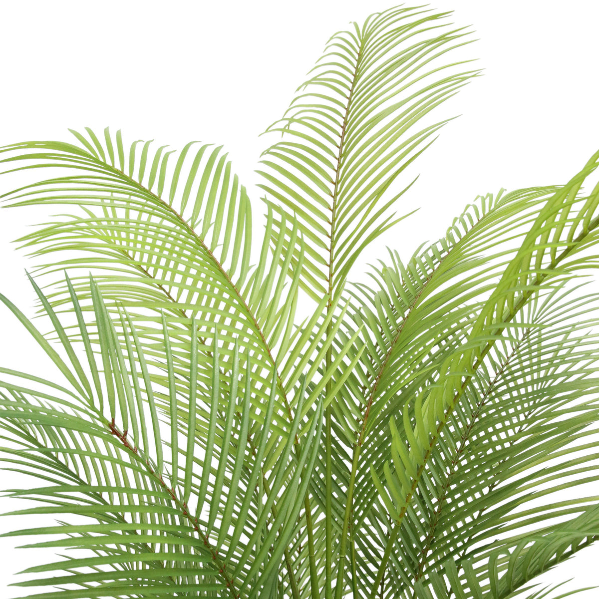 Faux 6.5' Palm Tree