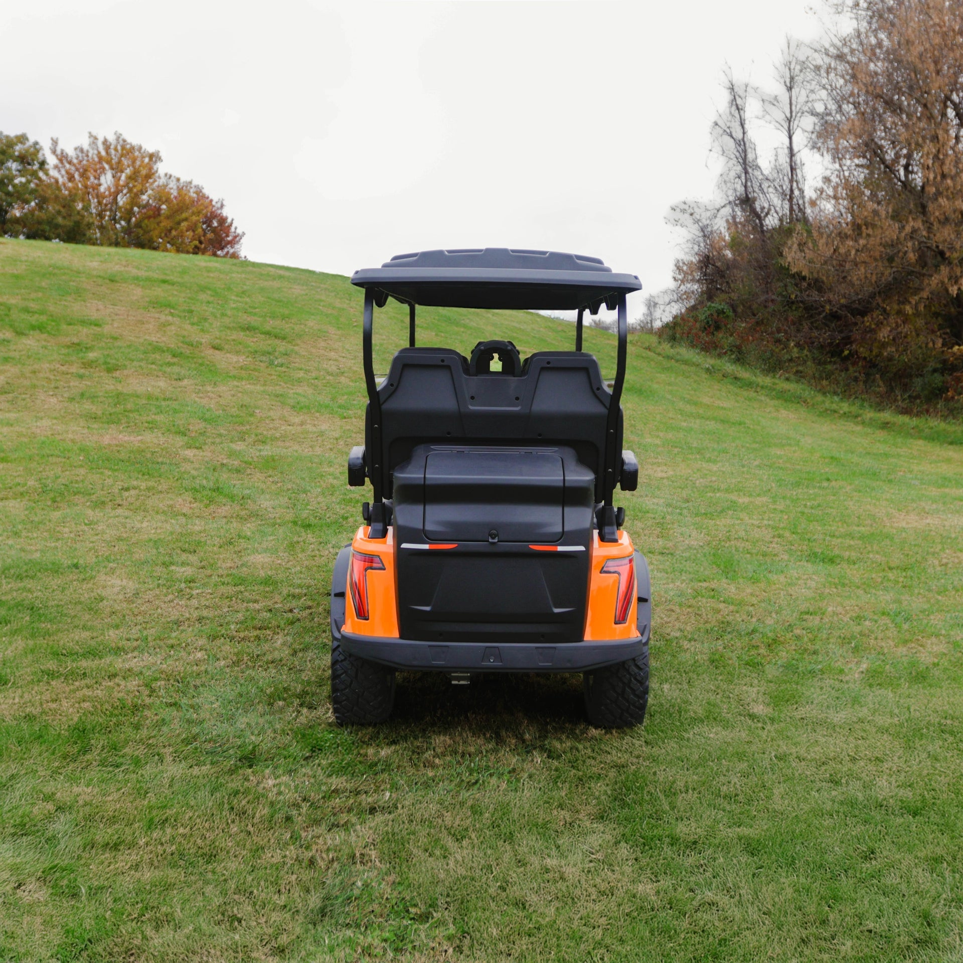 Whisper E-400 4-seat Off-road Recreational Golf Cart - image 20