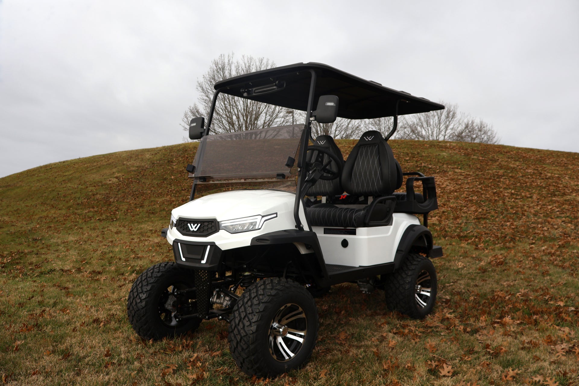 Whisper E-500 4-seat Off-road Recreational Golf Cart - image 23
