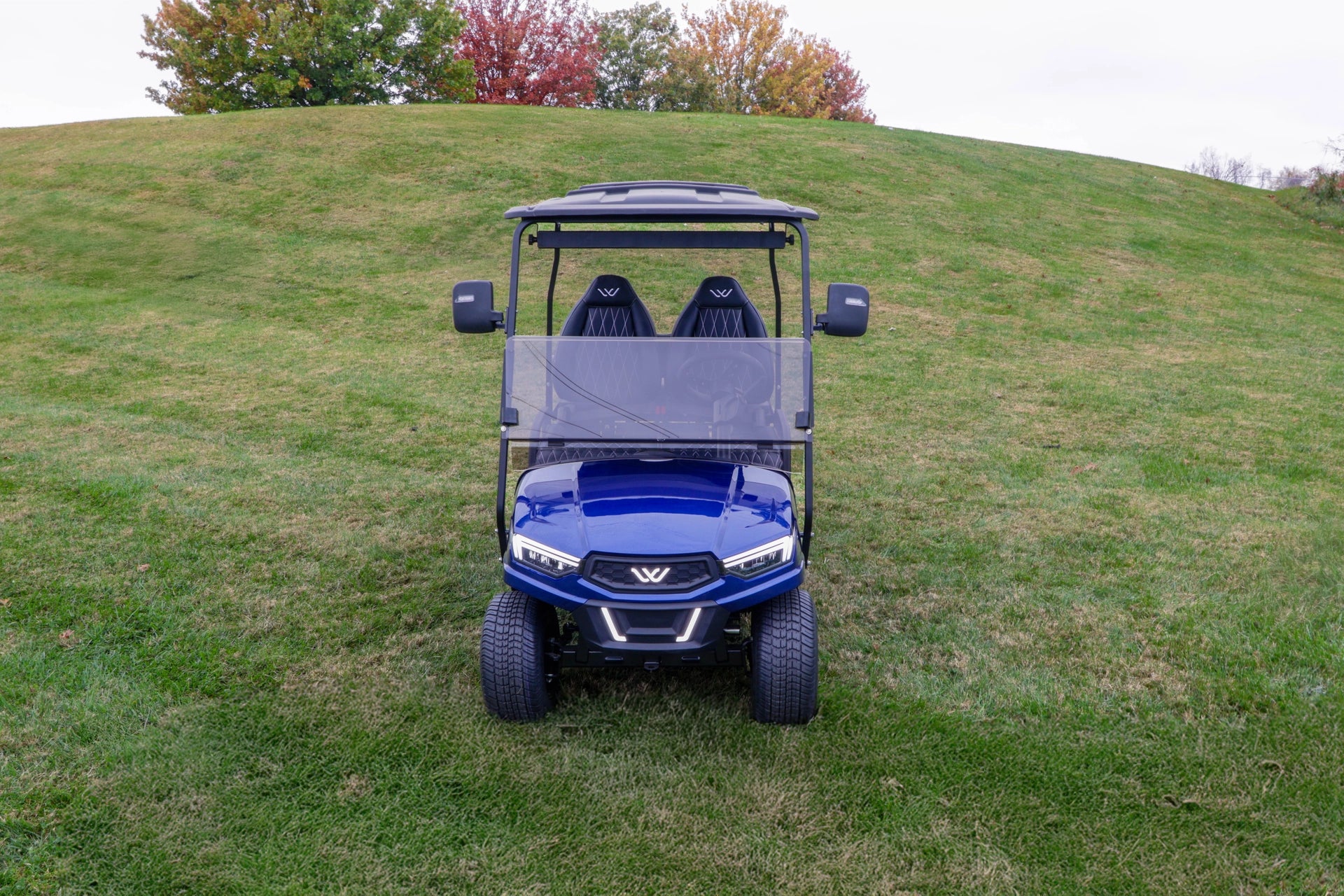 Whisper E-300 4-seat Off-road Recreational Golf Cart - image 12