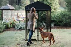 Lucky Dog STAY Series Villa Dog Kennel 4'x8' with Privacy Screen - image 11