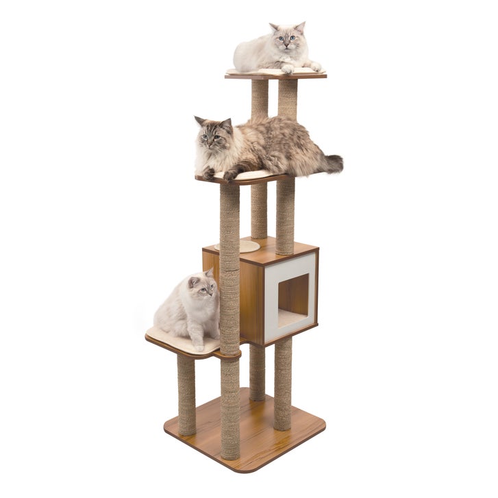 Catit Vesper High Base XL 62 inch Cat Tree, 5 Levels and 1 Condo, Walnut - image 1