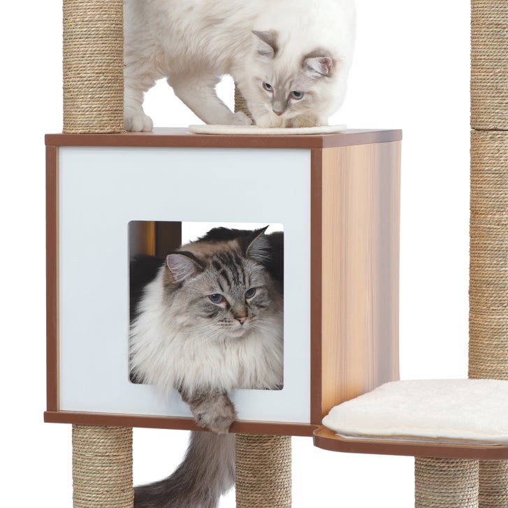 Catit Vesper High Base XL 62 inch Cat Tree, 5 Levels and 1 Condo, Walnut - image 4