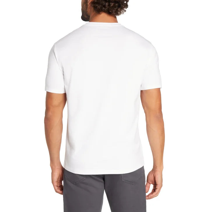 Banana Republic Men's V-Neck Tee, 3-pack