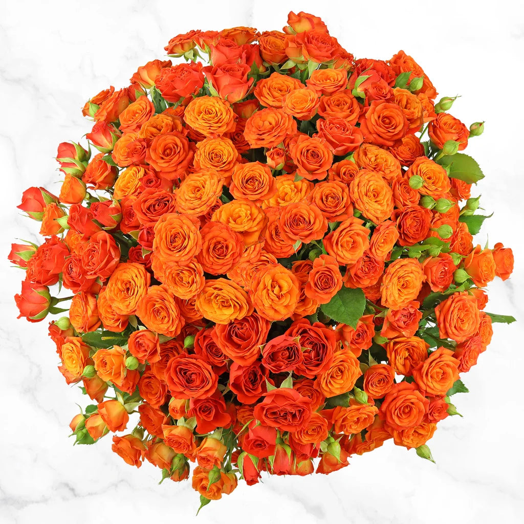 50-stem Spray Roses