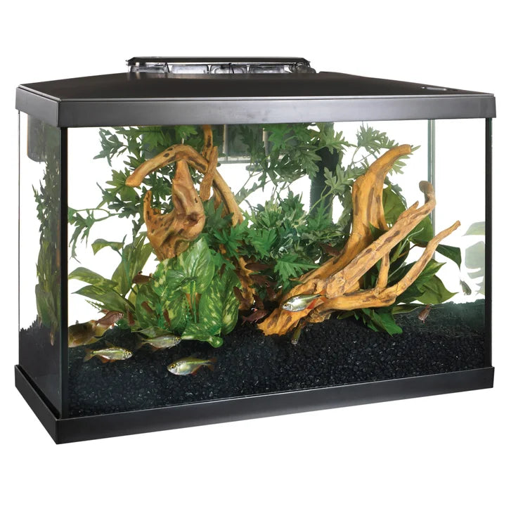 Marina 10 Gallon LED Aquarium Kit - image 3