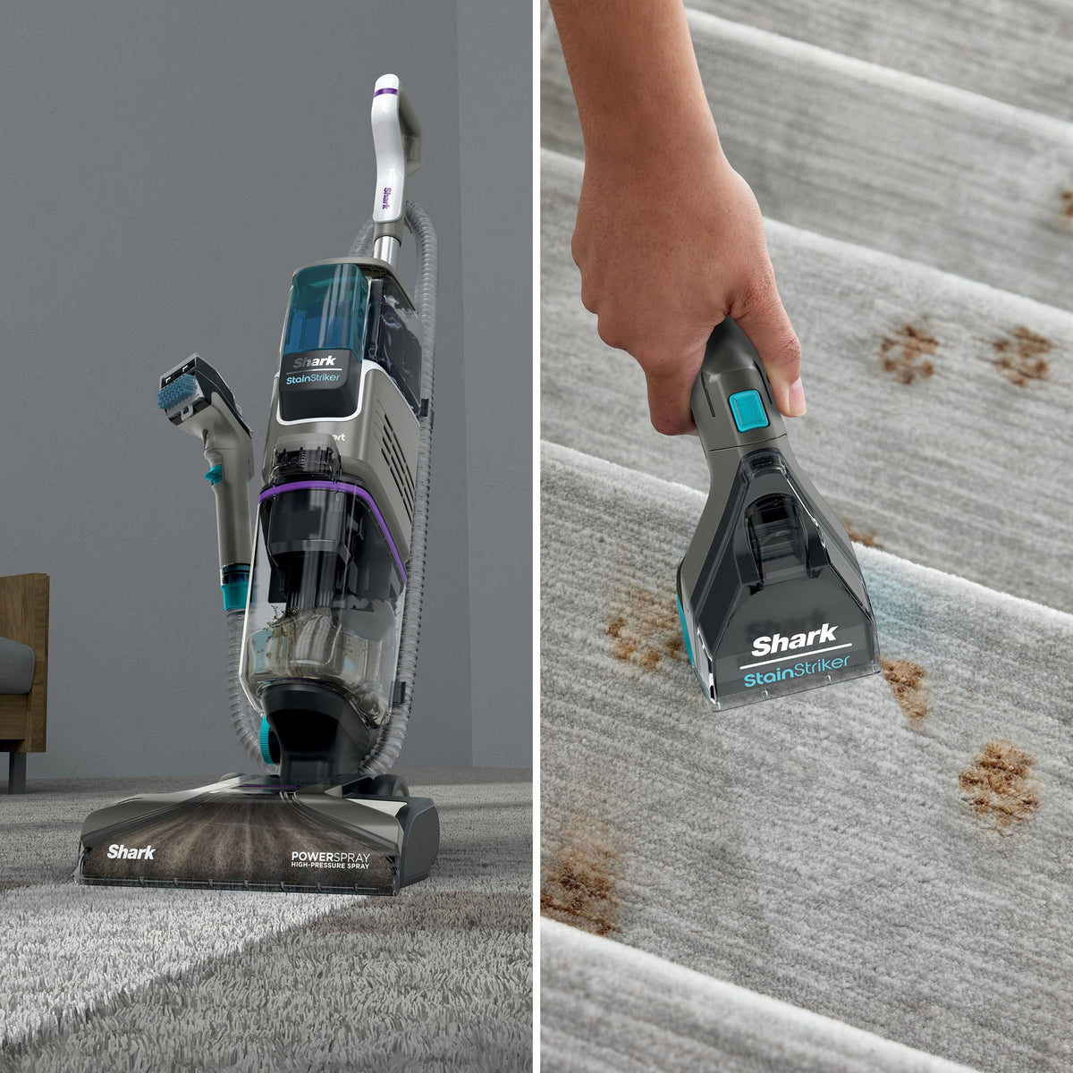 Shark CarpetXpert with Stainstriker Carpet & Upholstery Cleaner