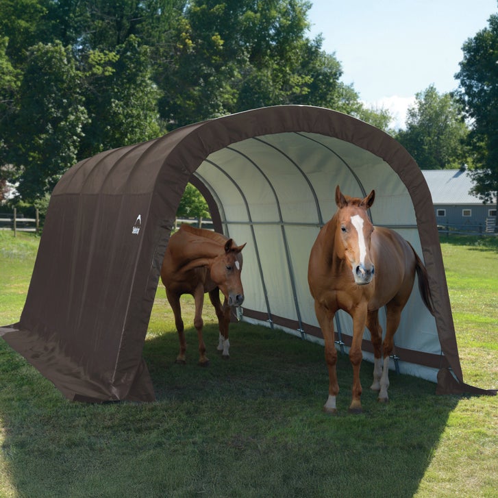ShelterLogic Run-in Equine Shelter, 12' x 20 'x 8' - image 1