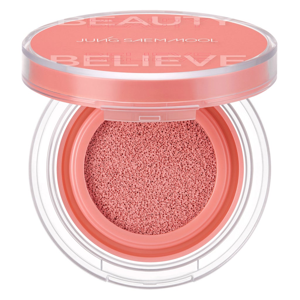 JUNGSAEMMOOL Artist Cushion Blush Special Set - product image