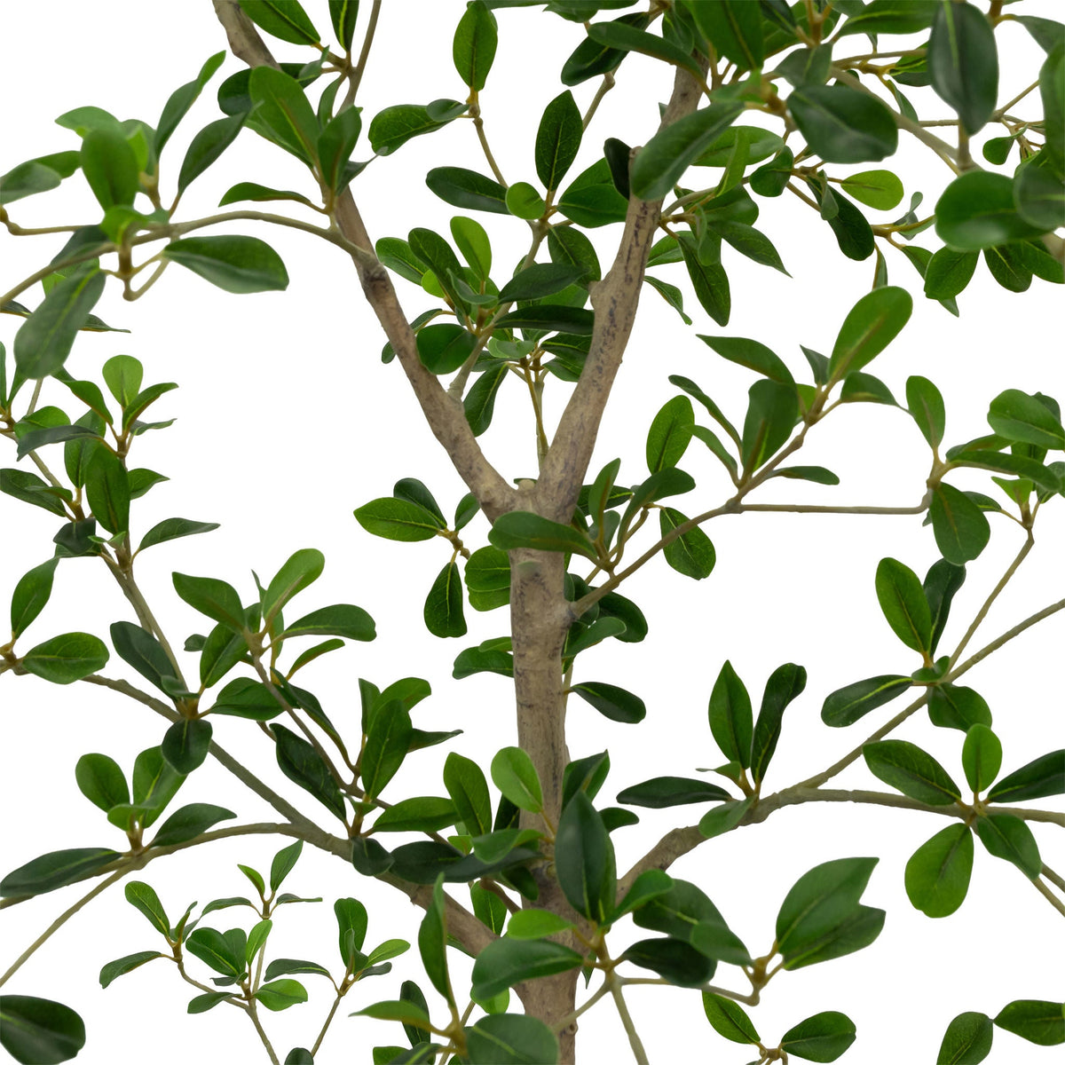 Faux 6.5' Black Olive Tree