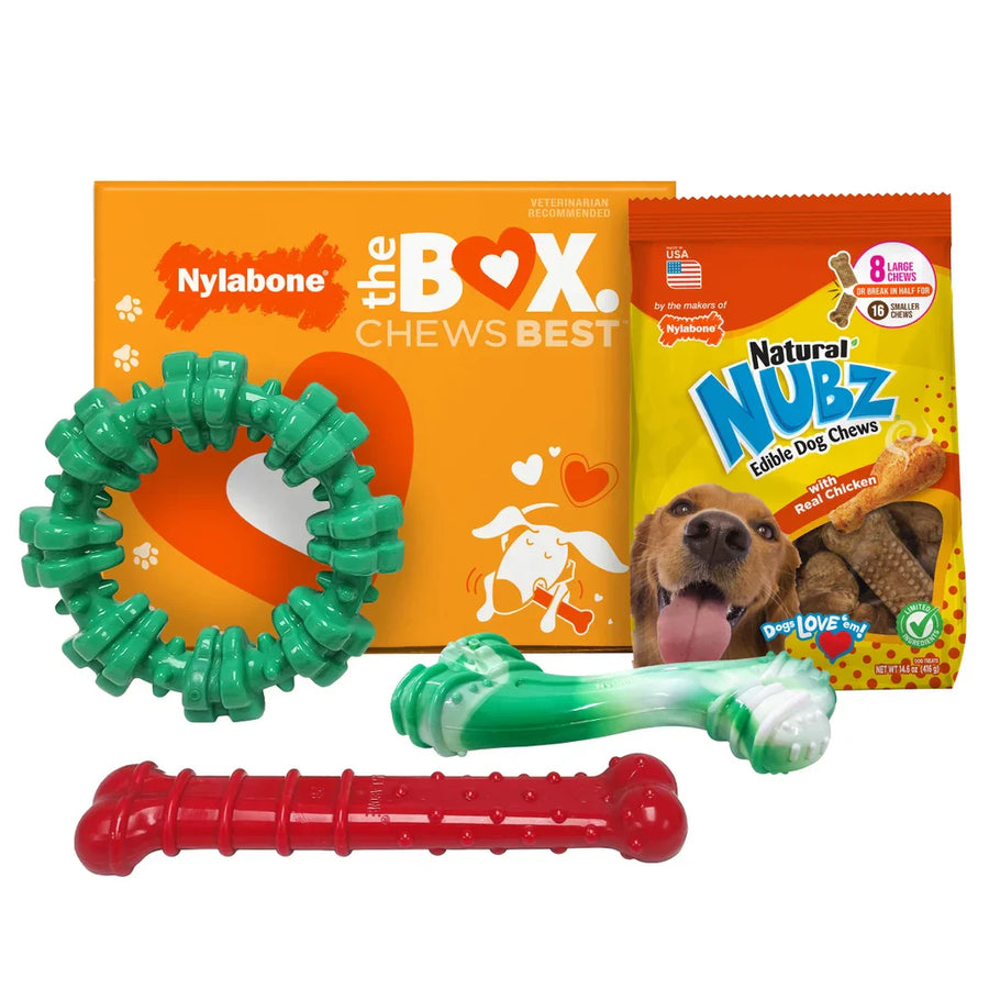 Nylabone Chew Toys & NUBZ Chew Treats Gift Box, 4-count