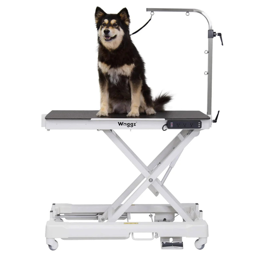 Waggz Roll-Light Electric Dog Grooming Table