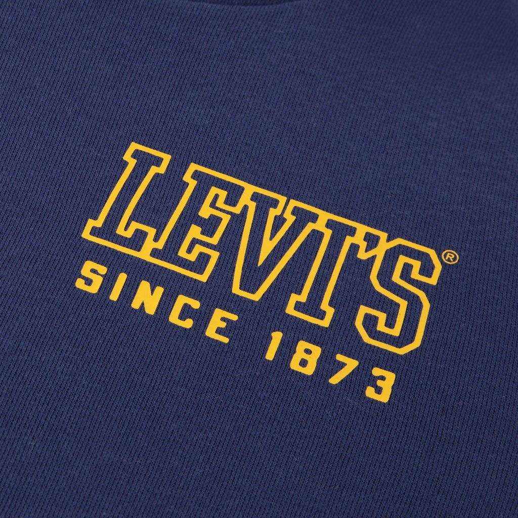 [color:blue] Levi's Youth Hoodie - Blue - image 4