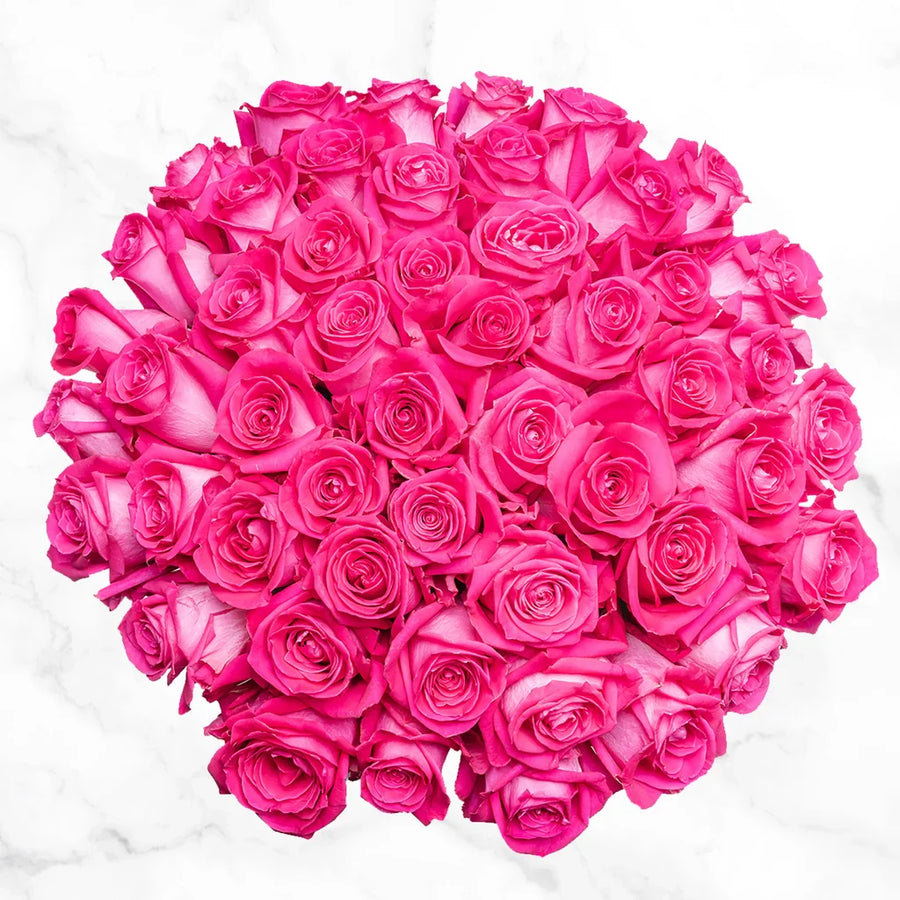 Valentines Day Hot Pink Roses, 50-stems