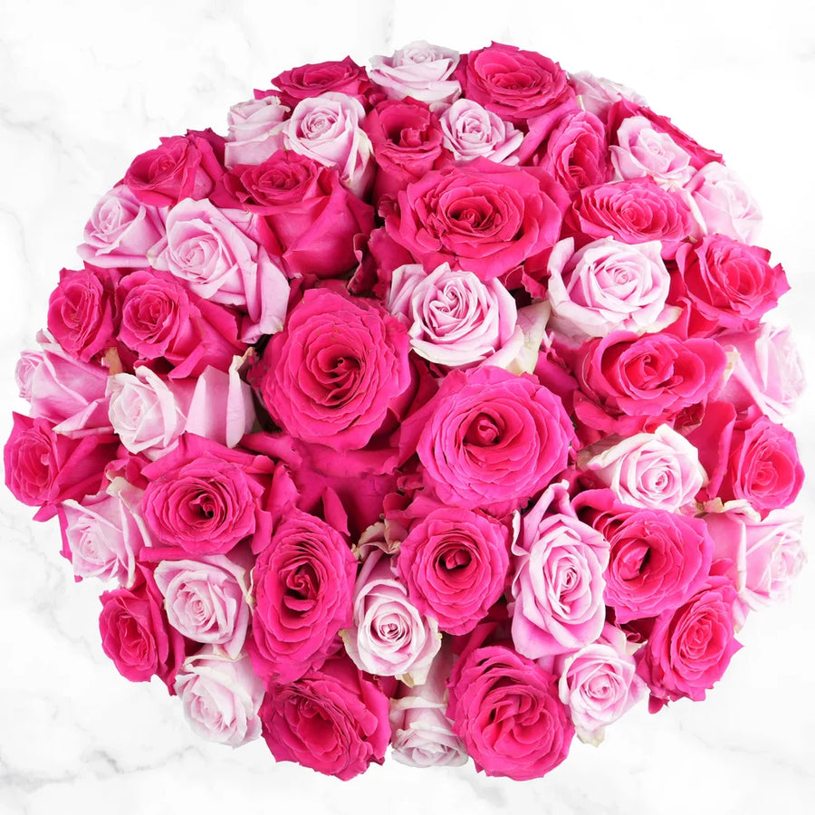 Valentines Day Hot Pink & Light Pink Roses, 50-stems