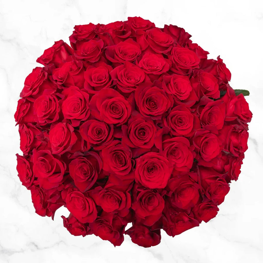 Valentine's Day Red Roses Fresh Cut Floral, 50-stems