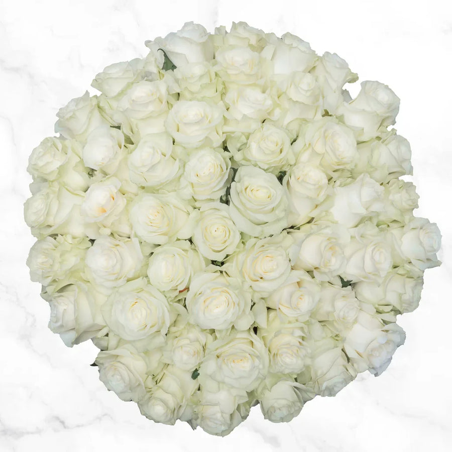 Valentine's Day White Roses Fresh Cut Floral, 50-stems