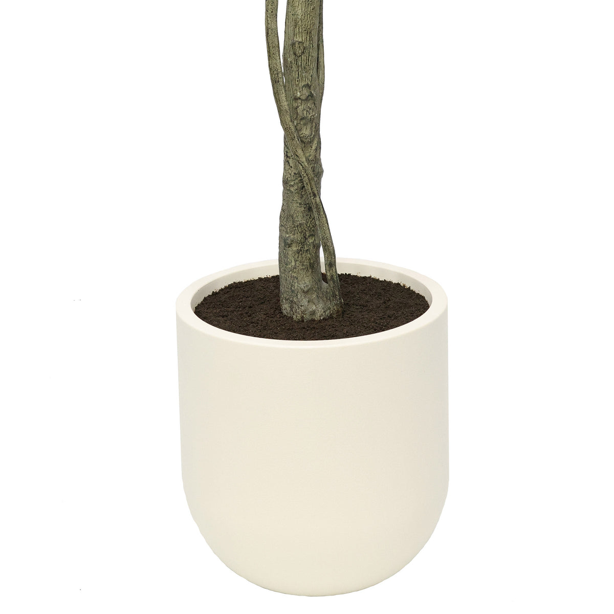 Faux 6.5' Ficus Tree
