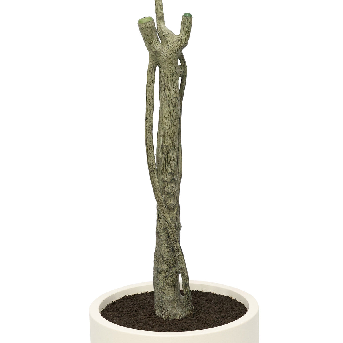 Faux 6.5' Ficus Tree