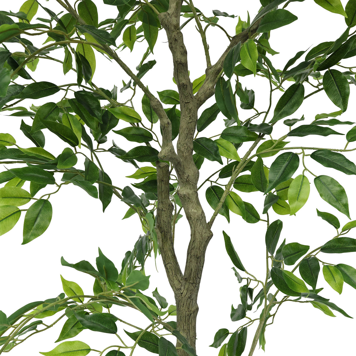 Faux 6.5' Ficus Tree