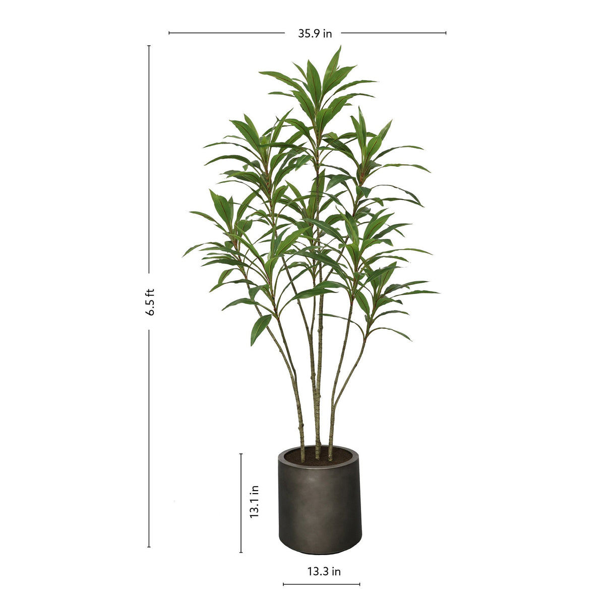 Faux 6.5' Dracaena Tree