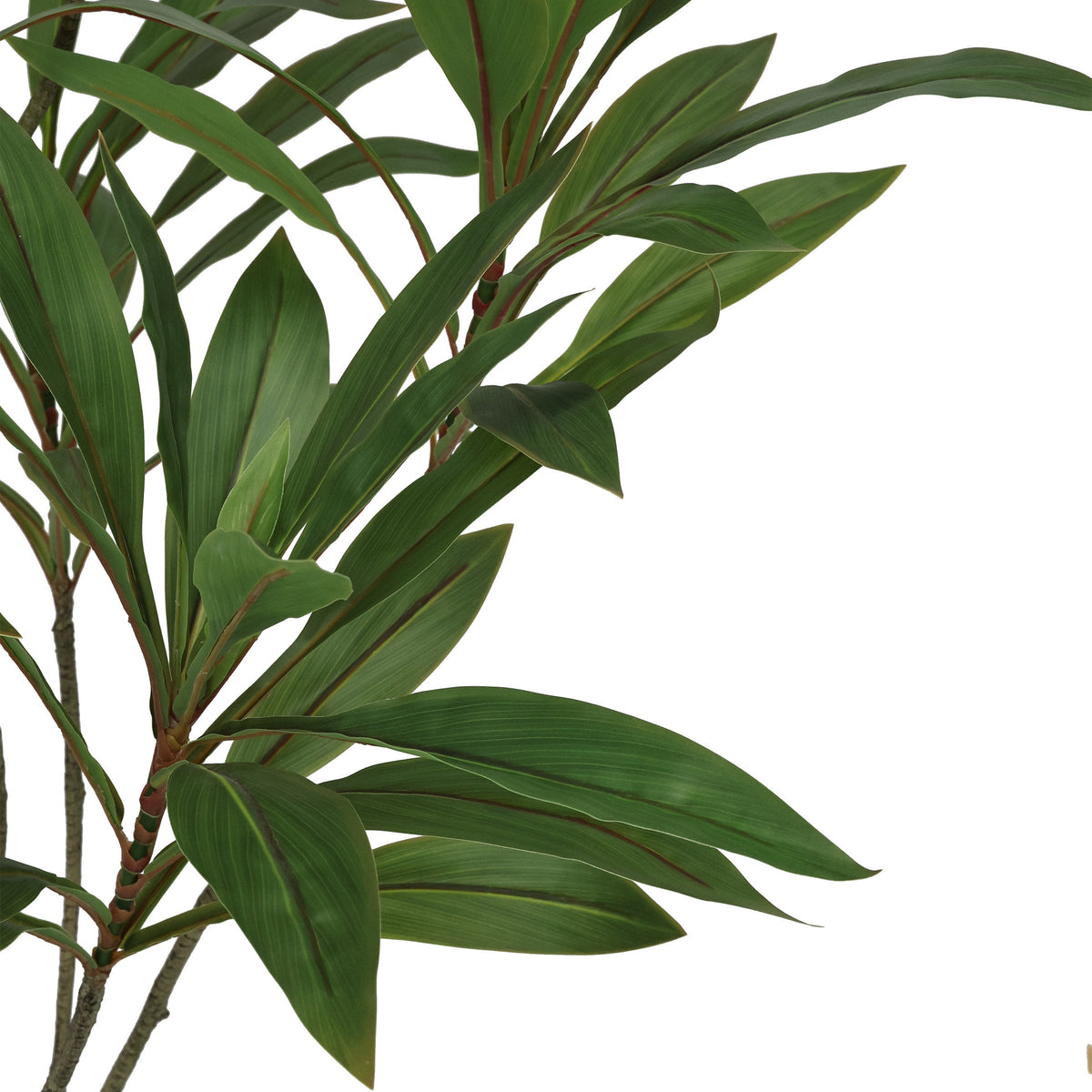 Faux 6.5' Dracaena Tree