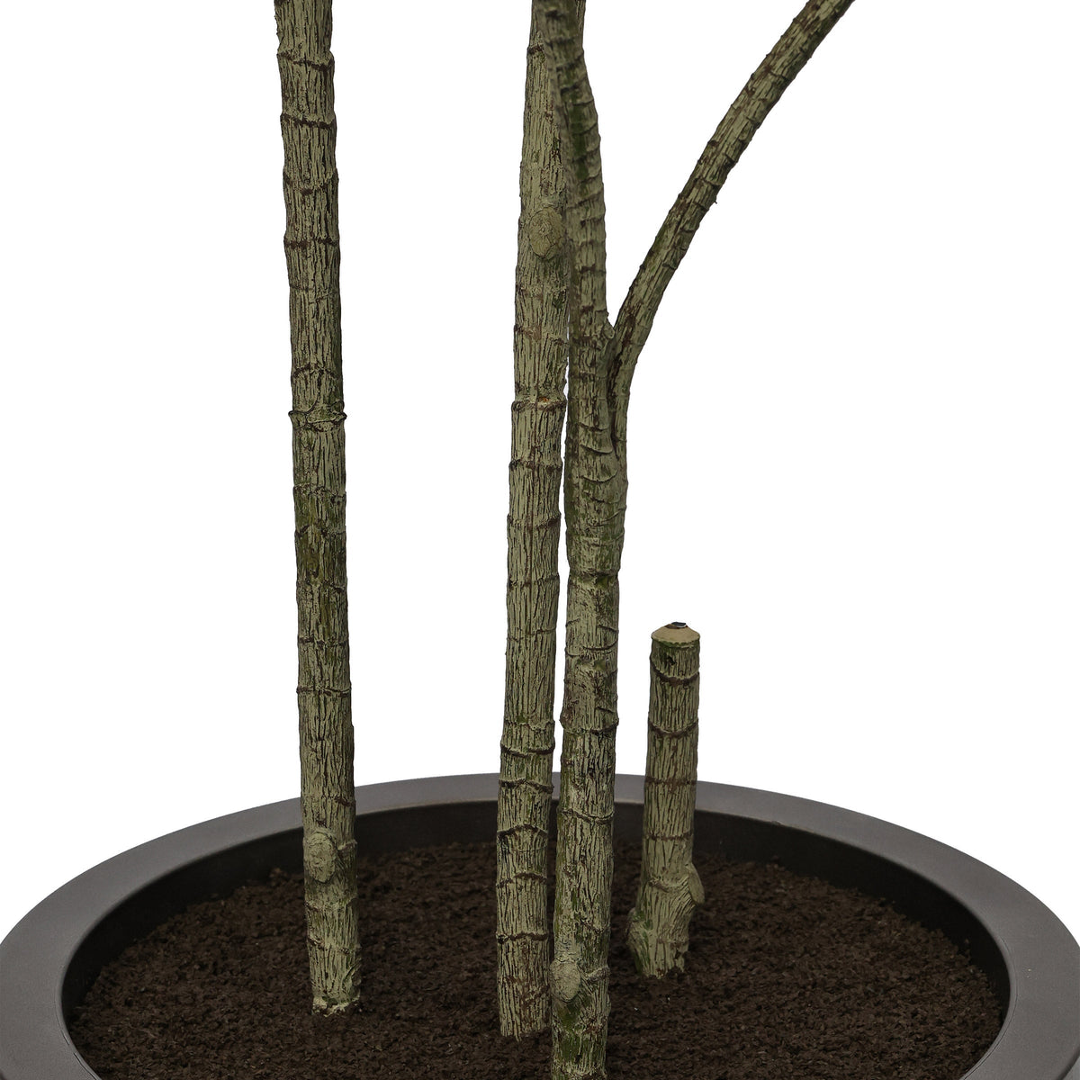 Faux 6.5' Dracaena Tree