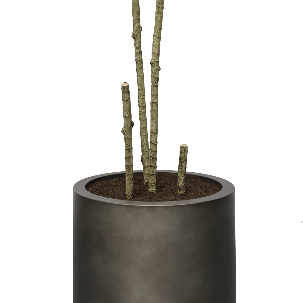Faux 6.5' Dracaena Tree