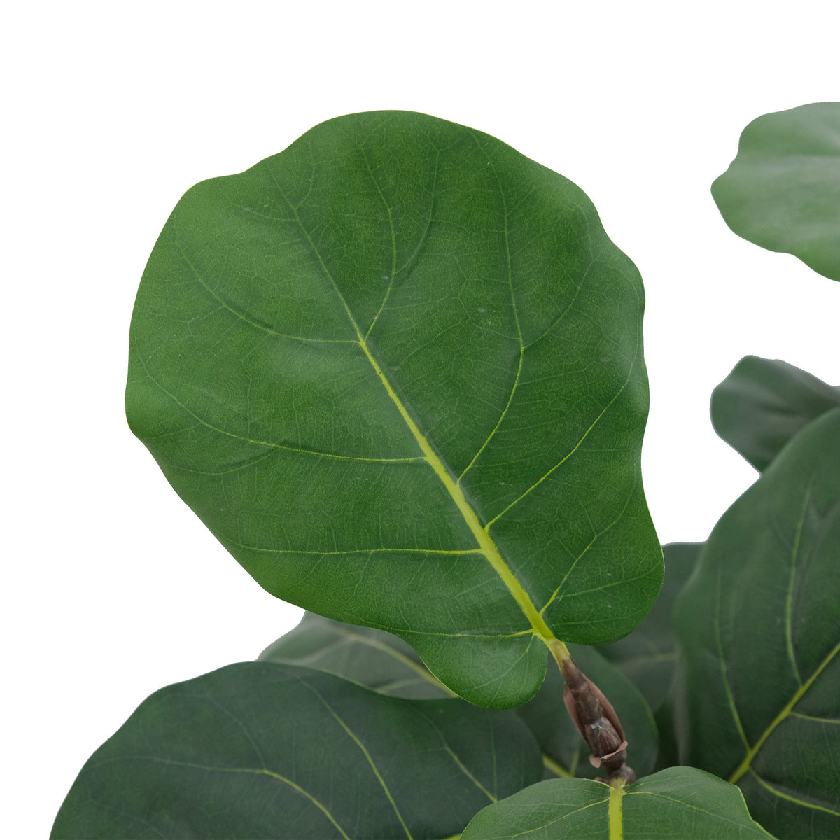 Faux 5' Slim Fig Tree