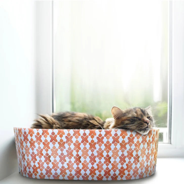 Buddy Buddy Cat Scratcher Bed and Toys, 13-piece Set - image 4