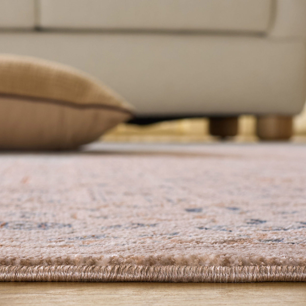 Safavieh Sutton Area Rug, Beige Navy, 6' x 9'