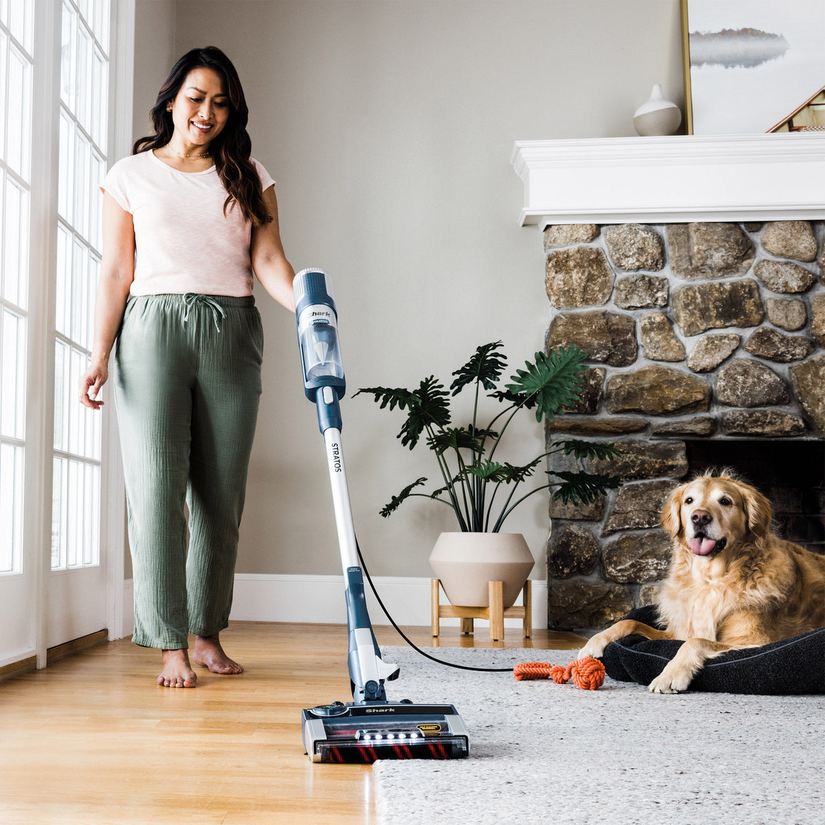 Shark Stratos Performance Corded Stick Vacuum